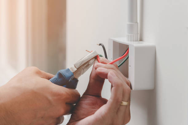 Best Electrical Maintenance Services  in Olivet, TN